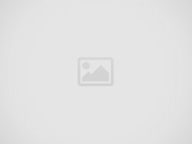 New Sergio Romero chant